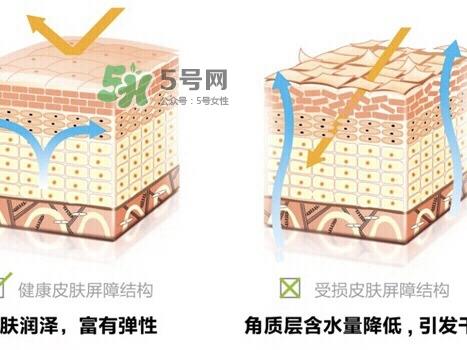 肌肤屏障受损的原因是什么 肌肤屏障受损用什么护肤品