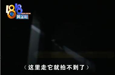 杭州失踪女子遇害真相曝光，女儿崩溃，丈夫被抓：我为什么劝女人不要轻易二婚