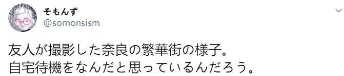 没仙贝吃的奈良小鹿太可怕了，竟成群上闹市“游行撒欢”！