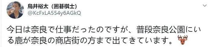 没仙贝吃的奈良小鹿太可怕了，竟成群上闹市“游行撒欢”！