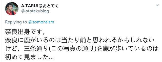 没仙贝吃的奈良小鹿太可怕了，竟成群上闹市“游行撒欢”！