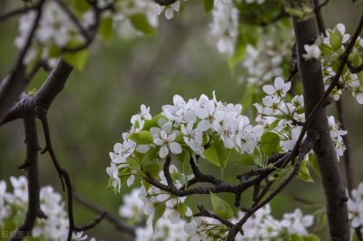 ​国学经典之《晋书》导读第三十八讲：列传·荀顗/荀勖/冯紞传