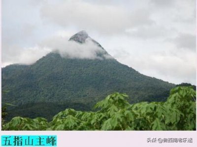 ​(老歌曲)《我爱五指山我爱万泉河》郑南词/刘长安曲/李双江演唱