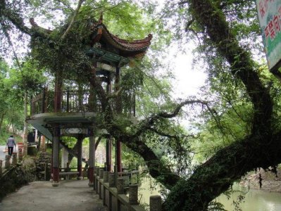 ​探村浙江平阳 - 青街古村，畲风竹韵古意绵绵