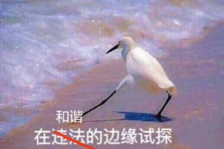 在违法的边缘试探原图 在违法的边缘试探表情包