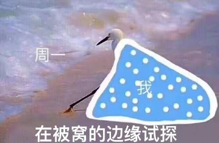 在违法的边缘试探原图 在违法的边缘试探表情包