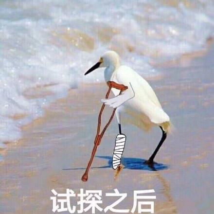 在违法的边缘试探原图 在违法的边缘试探表情包