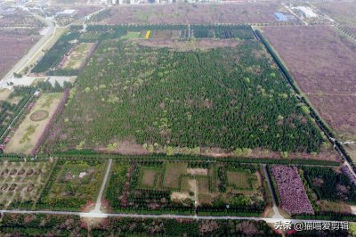 ​西安临潼复制始王陵墓，曾号称全国之首，如今游客吐槽