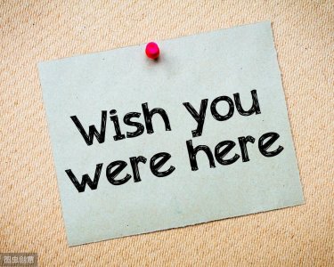 ​每日英语知识点 DAY 17：虚拟语气(5)-Wish