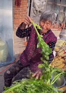 ​谨防农村孙老太兰兰母女的假账号。她们有团队？为何做那么多饭菜