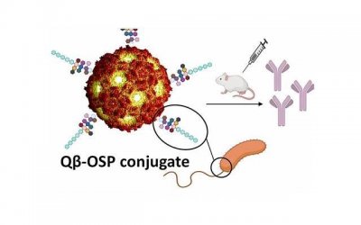 ​怎样才能更好的减肥 怎么减肥最有效最快最安全