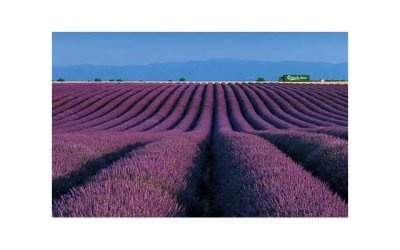 ​安全期体温测试 你知道方法吗