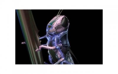 ​七夕情诗怎么写，七律七夕情诗