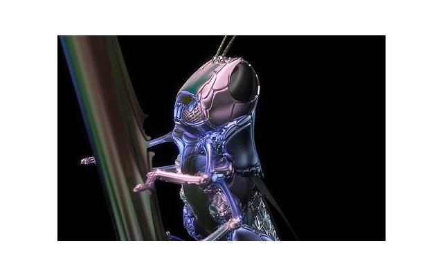 七夕情诗怎么写，七律七夕情诗