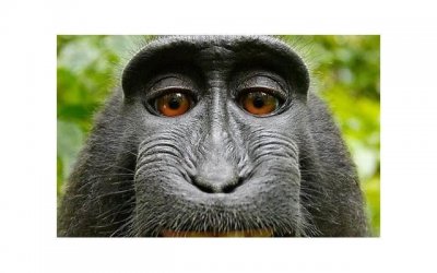 ​感情被消耗空了怎么办？教你5招挽回TA的心