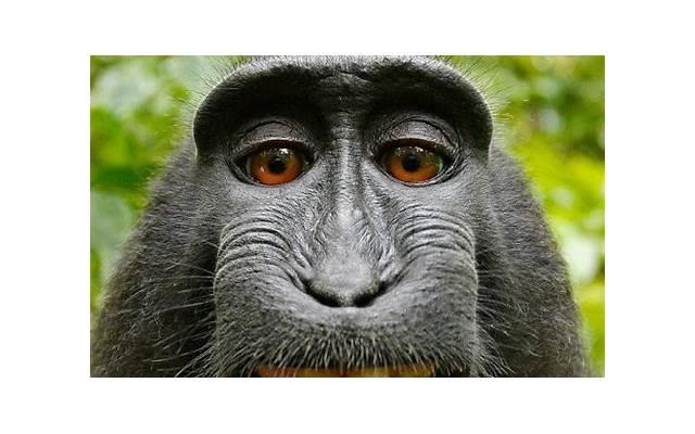 感情被消耗空了怎么办？教你5招挽回TA的心