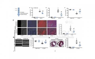​约会时怎么才能牵手