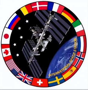 ​一个关于兔子的最励志的故事！