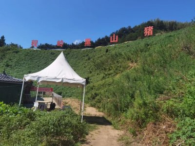 ​太湖猪产业发展之路