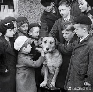 ​30 张有趣的历史照片淋漓地展示过去人们的生活