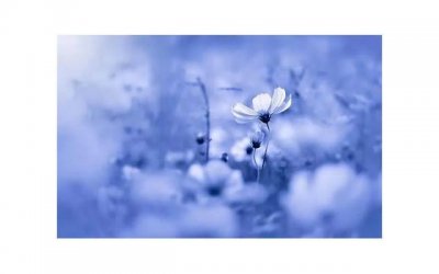 ​女人犯桃花劫什么表现