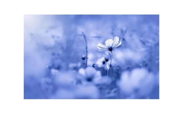 女人犯桃花劫什么表现