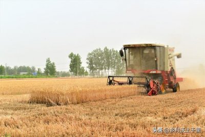 ​什么时候收麦子(收麦子的季节叫什么)