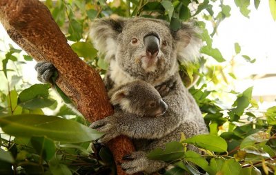 ​20个冷知识：不经常出现，或许只有少数人知晓的奇怪知识