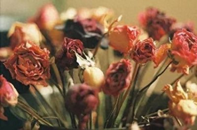 ​玫瑰干花怎么做，玫瑰干花制作方法图解