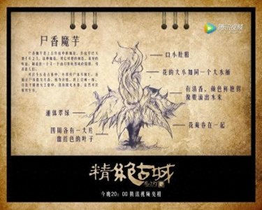 ​恶臭无比，犹如万只死老鼠，这是《鬼吹灯》中传说的腐尸花吗？