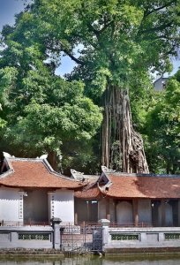 ​越南姑娘招人喜欢？