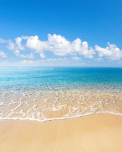 ​2023年石家庄高中最新排行榜：河北正定中学、精英中学上榜