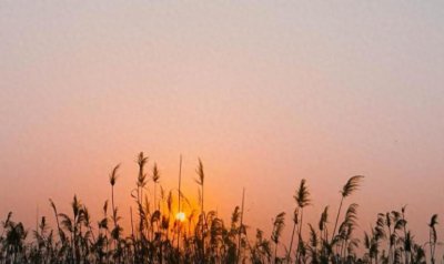 ​老话“出门饺子、进门面”：为啥出门前要吃饺子？有啥寓意？