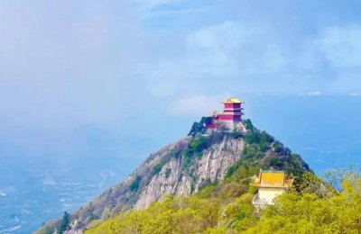 ​终南山“隐士”已高达上万人，老道士曾直言：大多都“心怀鬼胎”