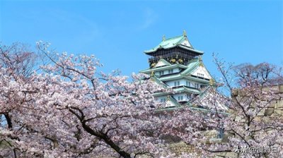 ​「日本樱花季」大阪10个热门赏樱好去处 市区郊外一篇全搜罗