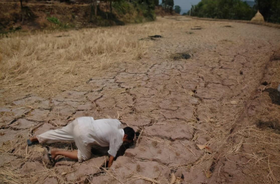 每年地球死亡多少人（极端天气每年致死500万人）