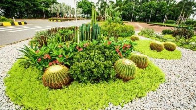 ​花境有多美，就有多难搭配，别让绝绝子的花境拉低了你花园的档次