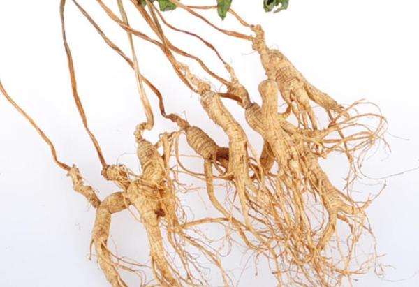 十大养生礼品排行榜 最适合长辈的礼物推荐