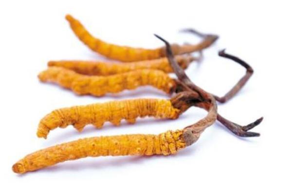 十大养生礼品排行榜 最适合长辈的礼物推荐