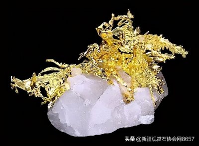 ​金矿石照片汇总（太美了）