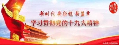 ​新媒体看武鸣，美丽乡村行