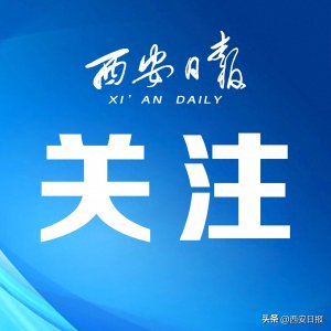 ​国产“机器狗”，能跑出下一个大疆吗