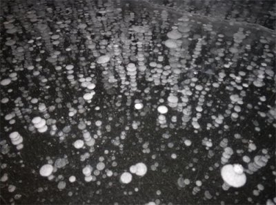 ​东北F4的哈尔滨，漠河，长白山之旅（干货满满，多图预警）