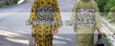 ​和服背后的包袱是什么意思 和服背后的包袱是什么 知乎