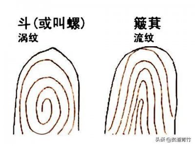 ​古话说：双手一个簸箕九个斗，不干也能有，真的吗？