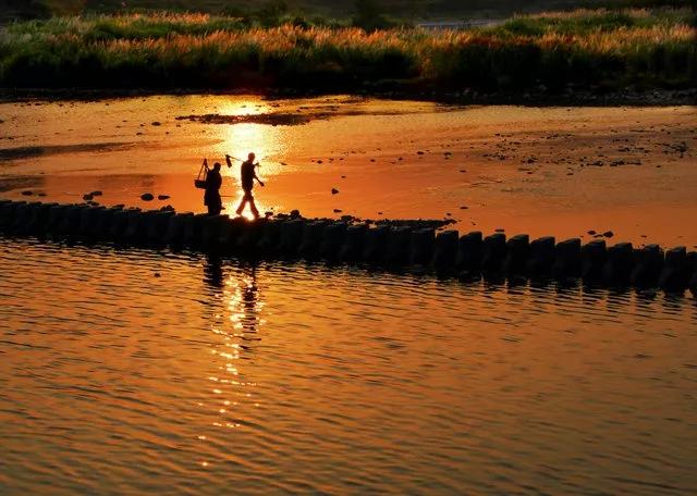 温州好玩的山水古镇（浙江温州最美7处古镇）(12)