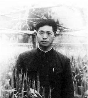 袁隆平秀恩爱（90岁袁隆平撒狗粮）(4)