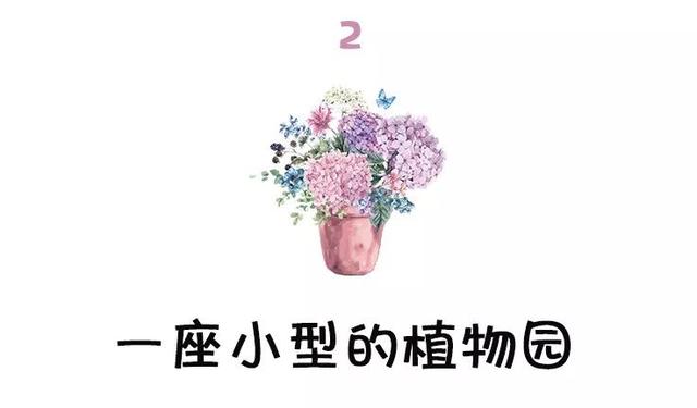 西安大的花卉市场在哪儿（西安最大的花卉市场）(8)