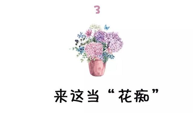 西安大的花卉市场在哪儿（西安最大的花卉市场）(18)