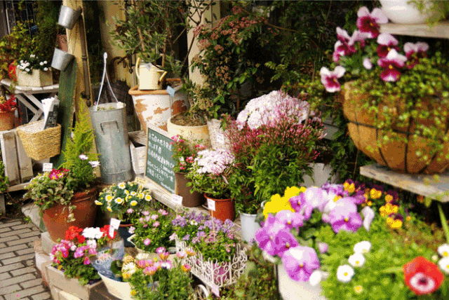 西安大的花卉市场在哪儿（西安最大的花卉市场）(1)